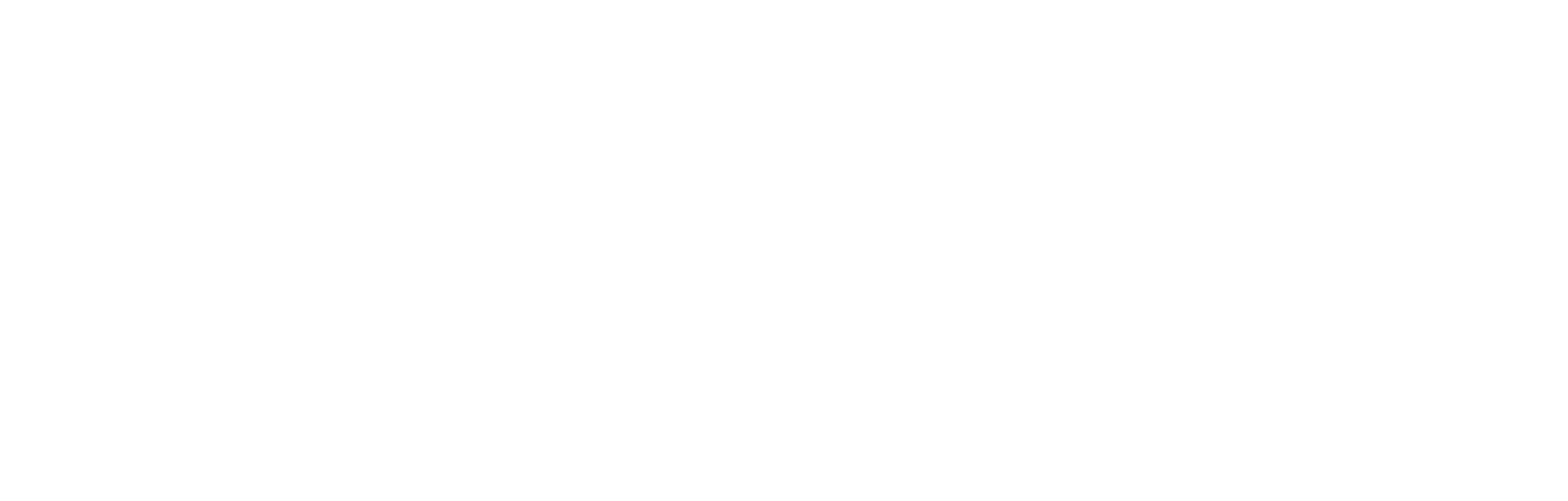 Logo Shopee